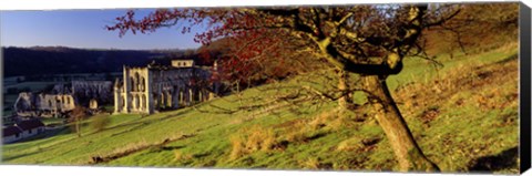 Framed Church On A Landscape, Rievaulx Abbey, North Yorkshire, England, United Kingdom Print