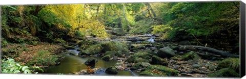 Framed Stream Flowing Through Forest, Eller Beck, England, United Kingdom Print