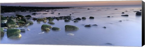 Framed Stones In Frozen Water, Flamborough, Yorkshire, England, United Kingdom Print