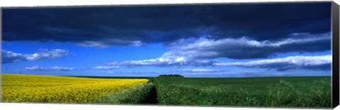 Framed Clouds Over A Cultivated Field, Hunmanby, Yorkshire Wolds, England, United Kingdom Print