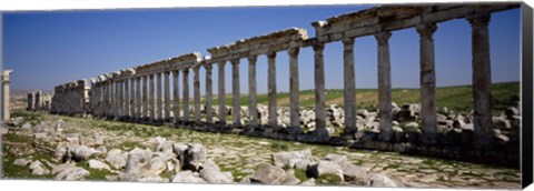 Framed Row of Columns, Cardo Maximus, Apamea, Syria Print