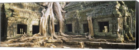 Framed Close up of Old ruins of a building, Angkor Wat, Cambodia Print