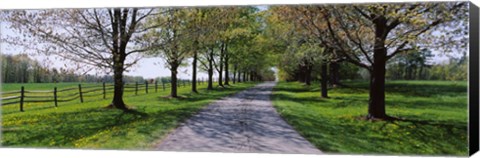 Framed Road passing through a farm, Knox Farm State Park, East Aurora, New York State, USA Print