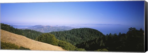 Framed High angle view of a forest, Mt Tamalpais, California, USA Print