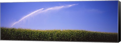 Framed Water being sprayed on a corn field, Washington State, USA Print