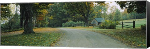 Framed Trees at a Roadside, Vermont Print