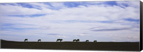 Framed Horses in Field Print