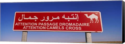 Framed Low angle view of a camel crossing signboard, Douz, Tunisia Print