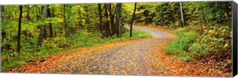 Framed Road passing through a forest, Country Road, Peacham, Caledonia County, Vermont, USA Print