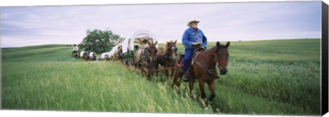 Framed Historical reenactment of covered wagons in a field, North Dakota, USA Print