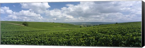 Framed Clouds over vineyards, Mainz, Rhineland-Palatinate, Germany Print