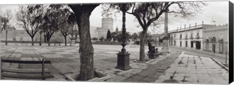 Framed Trees in front of a building, Alameda Vieja, Jerez, Cadiz, Spain Print