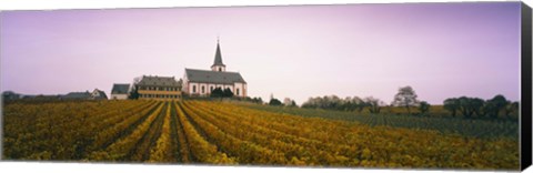 Framed Vineyard with a church in the background, Hochheim, Rheingau, Germany Print