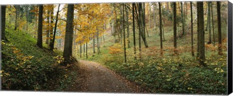 Framed Road passing through a forest, Baden-Wurttemberg, Germany Print