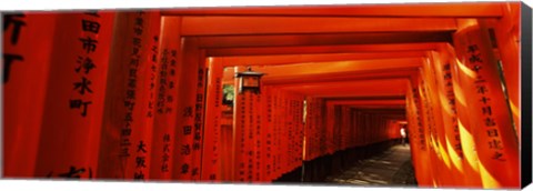 Framed Torii gates of a shrine, Fushimi Inari-Taisha, Fushimi Ward, Kyoto, Kyoto Prefecture, Kinki Region, Honshu, Japan Print