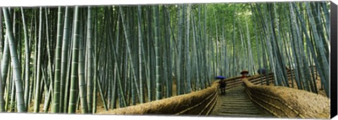 Framed Stepped walkway passing through a bamboo forest, Arashiyama, Kyoto Prefecture, Kinki Region, Honshu, Japan Print