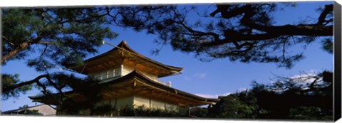 Framed Low angle view of trees in front of a temple, Kinkaku-ji Temple, Kyoto City, Kyoto Prefecture, Kinki Region, Honshu, Japan Print