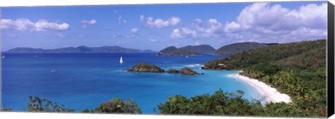 Framed Trees on the coast, Trunk Bay, Virgin Islands National Park, St. John, US Virgin Islands Print