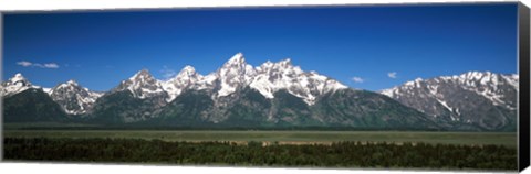 Framed Trees in a forest with mountains in the background, Teton Point Turnout, Teton Range, Grand Teton National Park, Wyoming, USA Print