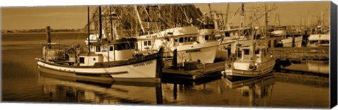 Framed Fishing boats in the sea, Morro Bay, San Luis Obispo County, California, USA Print