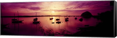 Framed Boats in the sea, Morro Bay, San Luis Obispo County, California, USA Print