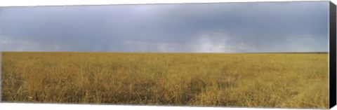 Framed Clouds over a meadow, Masai Mara National Reserve, Great Rift Valley, Kenya Print