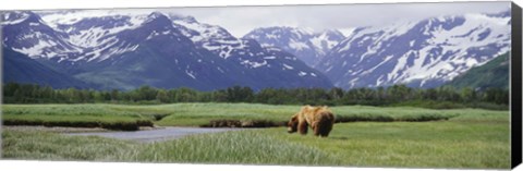 Framed Kukak Bay, Katmai National Park, Alaska Print