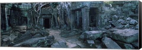 Framed Overgrown tree roots on ruins of a temple, Ta Prohm Temple, Angkor, Cambodia Print