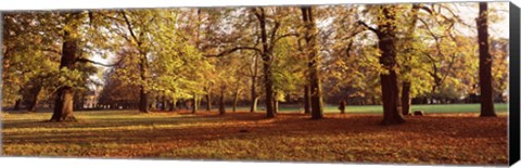 Framed Ludwigsburg Park in autumn, Ludwigsburg, Baden-Wurttemberg, Germany Print