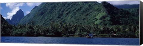 Framed Trees on the coast, Tahiti, French Polynesia Print