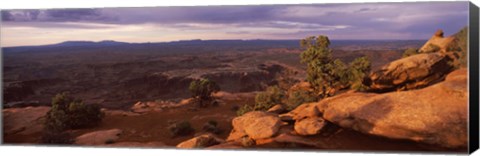 Framed Canyonlands National Park, San Juan County, Utah Print