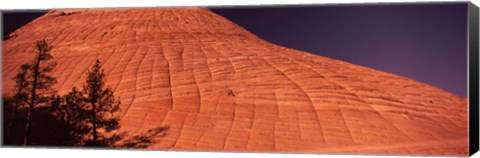 Framed Shadow of trees on a rock formation, Checkerboard Mesa, Zion National Park, Utah, USA Print