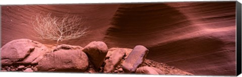 Framed Bare Tree and Rock formations, Antelope Canyon, Arizona Print