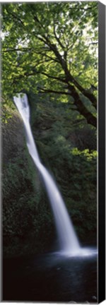 Framed Waterfall in a forest, Horsetail falls, Larch Mountain, Hood River, Columbia River Gorge, Oregon, USA Print