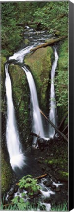 Framed High angle view of a waterfall in a forest, Triple Falls, Columbia River Gorge, Oregon (vertical) Print