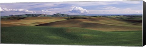 Framed Clouds over a rolling landscape, Palouse, Whitman County, Washington State, USA Print