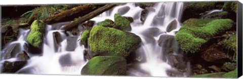 Framed Cascading waterfall in a rainforest, Olympic National Park, Washington State, USA Print