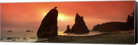 Framed Silhouette of seastacks at sunset, Olympic National Park, Washington State Print