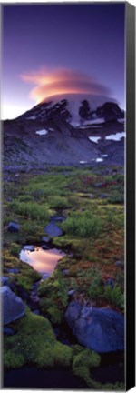 Framed Clouds over a snowcapped mountain, Mt Rainier, Washington State, USA Print