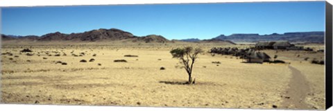 Framed Horse ranch on a homestead, Namibia Print