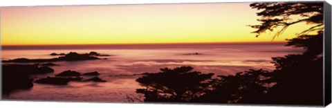 Framed Sea at sunset, Point Lobos State Reserve, Carmel, Monterey County, California, USA Print