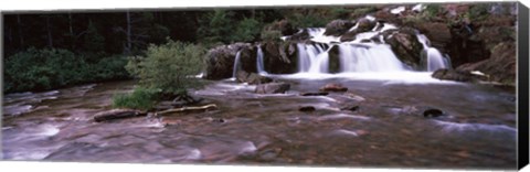 Framed Waterfall in a forest, US Glacier National Park, Montana, USA Print