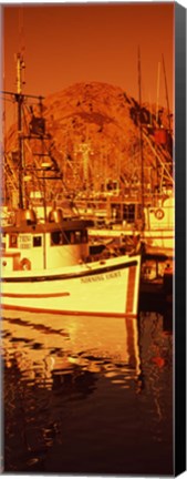 Framed Fishing boats in the bay, Morro Bay, San Luis Obispo County, California (vertical) Print