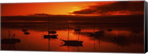 Framed Boats in a bay, Morro Bay, San Luis Obispo County, California, USA Print