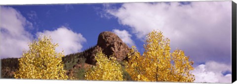 Framed Clouds above aspen trees in autumn, Colorado Print