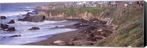 Framed Beach in San Luis Obispo County, California Print