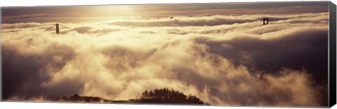 Framed Golden Gate Bridge Peaking through the fog, San Francisco, California Print