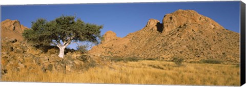 Framed Tree in the Namib Desert, Namibia Print