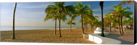 Framed Palm trees on the beach, Las Olas Boulevard, Fort Lauderdale, Florida, USA Print