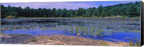 Framed Pond in a national park, Bubble Pond, Acadia National Park, Mount Desert Island, Hancock County, Maine, USA Print